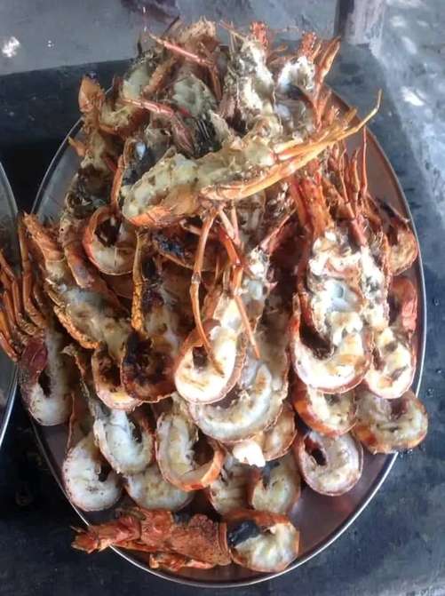Il pranzo del Safari Blu