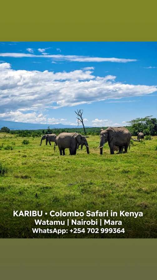 Karibu Kenya