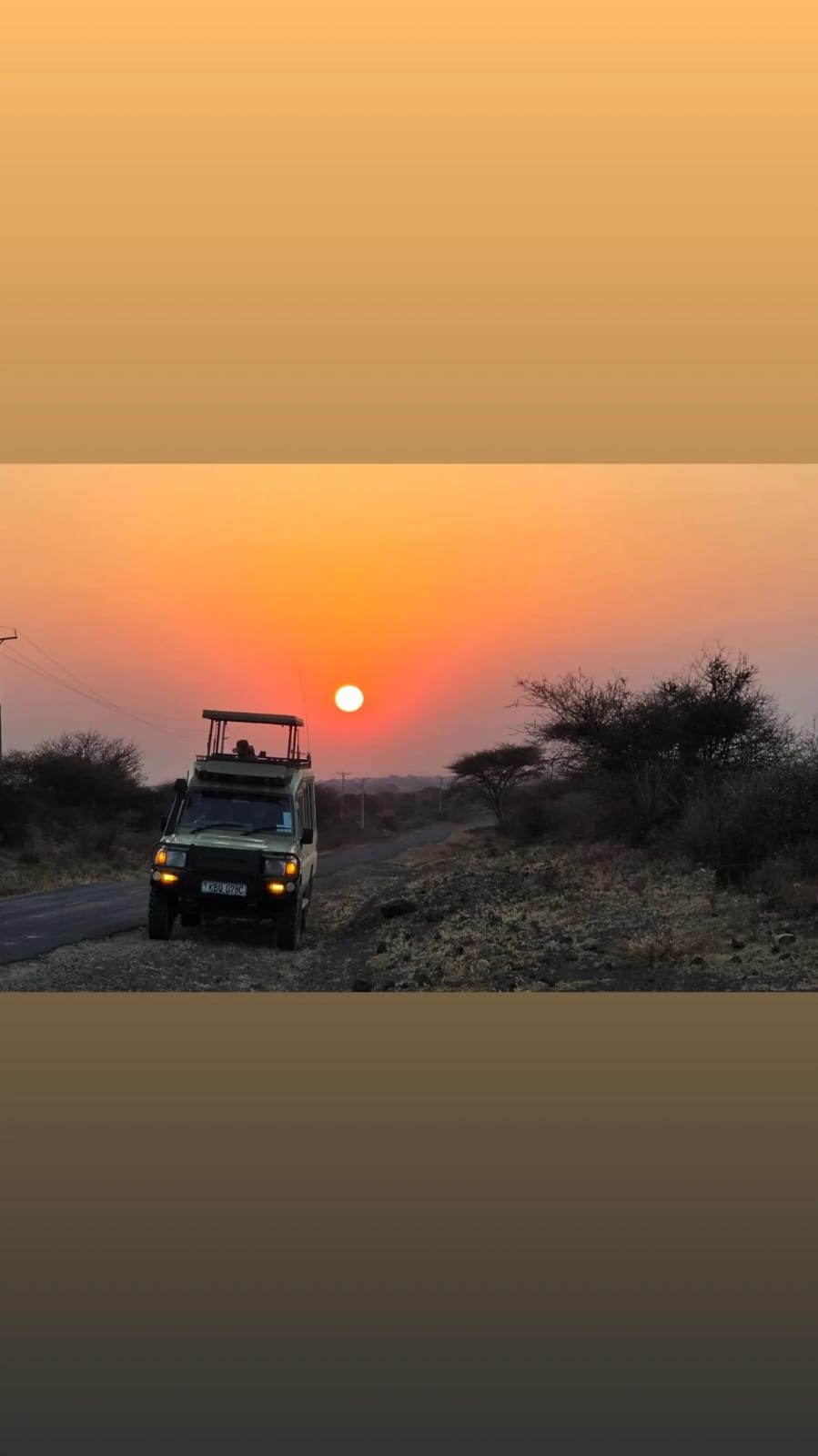 Game drive al tramonto